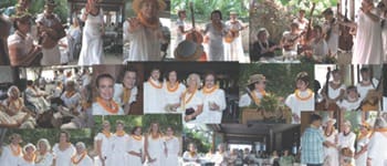 Spring Newsletter 2018 DOH Spring 2018 Newsletter web thumbnail 350x150 rev